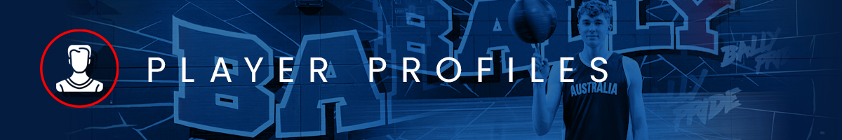Playre profiles header